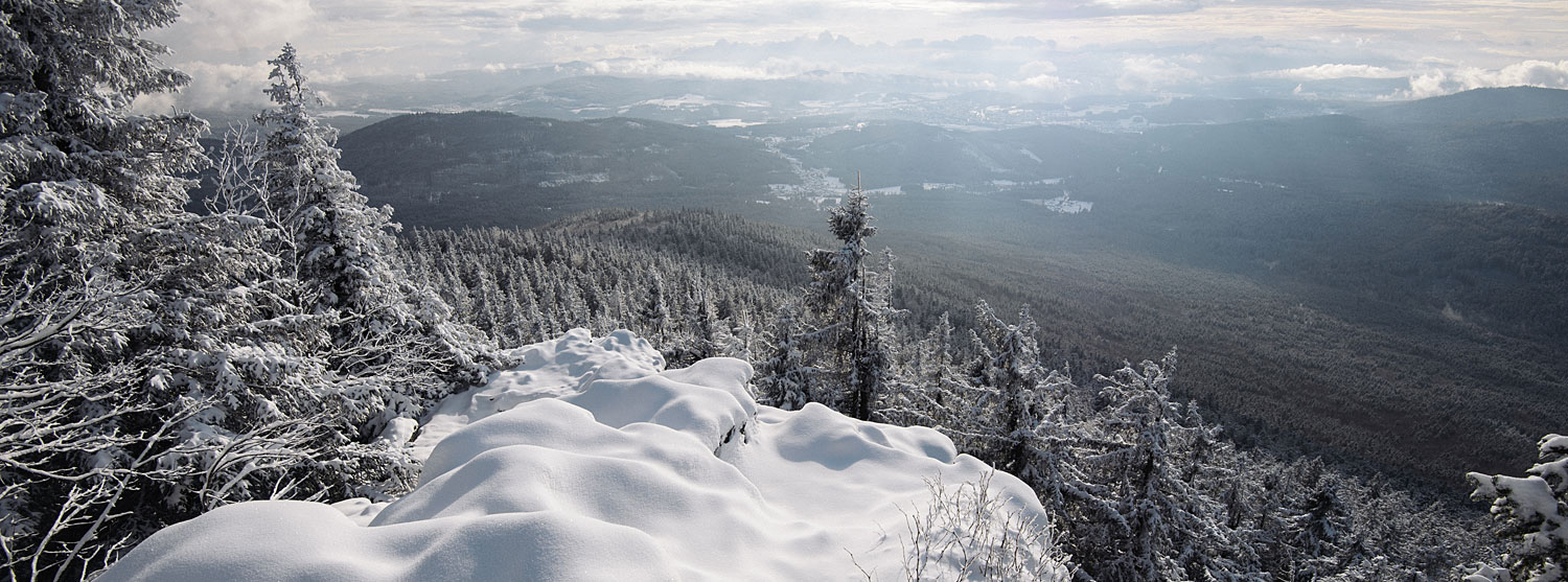 Urlaub mit Hund in Frauenau Bayerrischer Wald