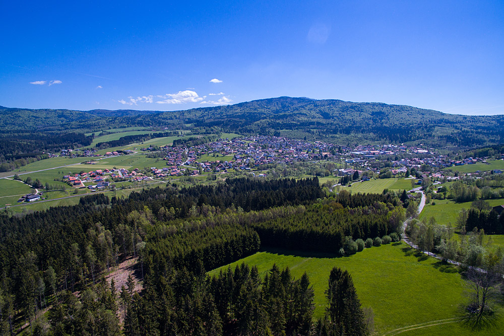 Urlaub mit Hund in Frauenau Bayerrischer Wald
