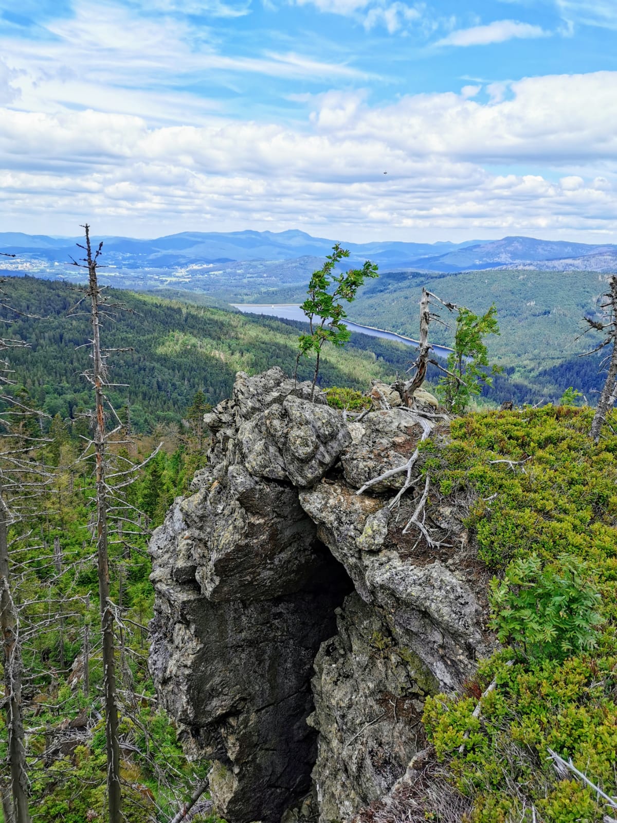 Urlaub mit Hund in Frauenau Bayerrischer Wald