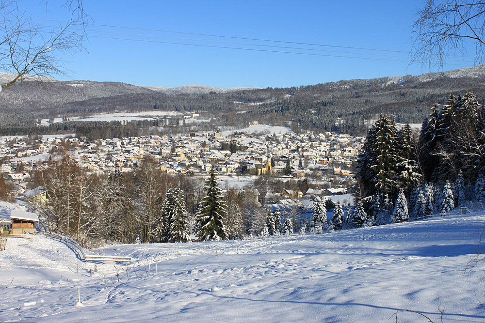 Urlaub mit Hund in Frauenau Bayerrischer Wald
