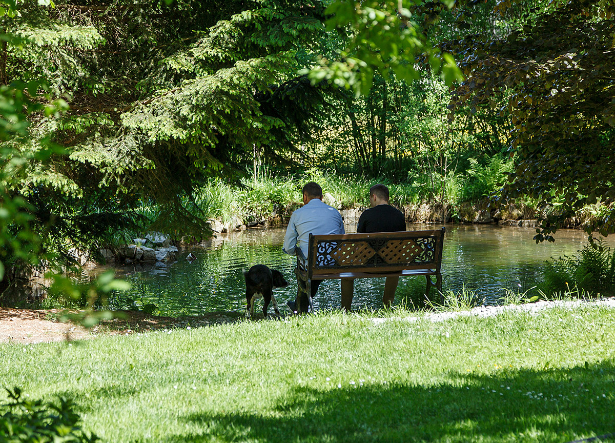 Urlaub mit Hund im Bayerischen Wald, Bayern Gästehaus Falkenau am